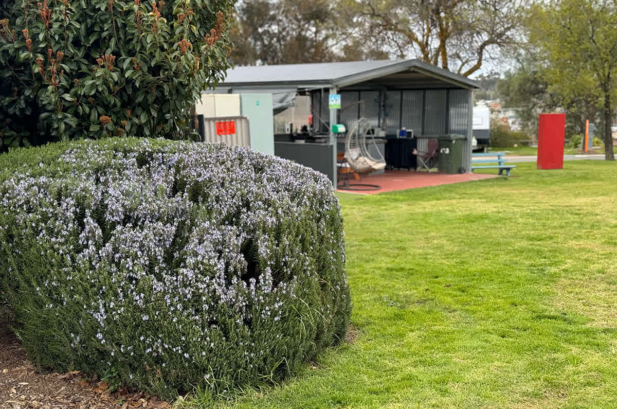 St Arnaud Caravan Park