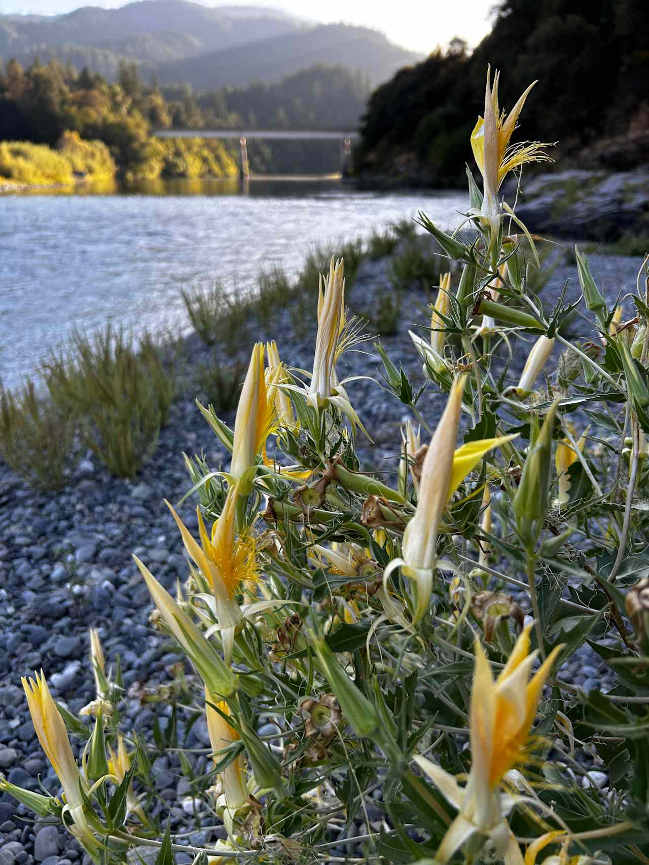View from the river walk