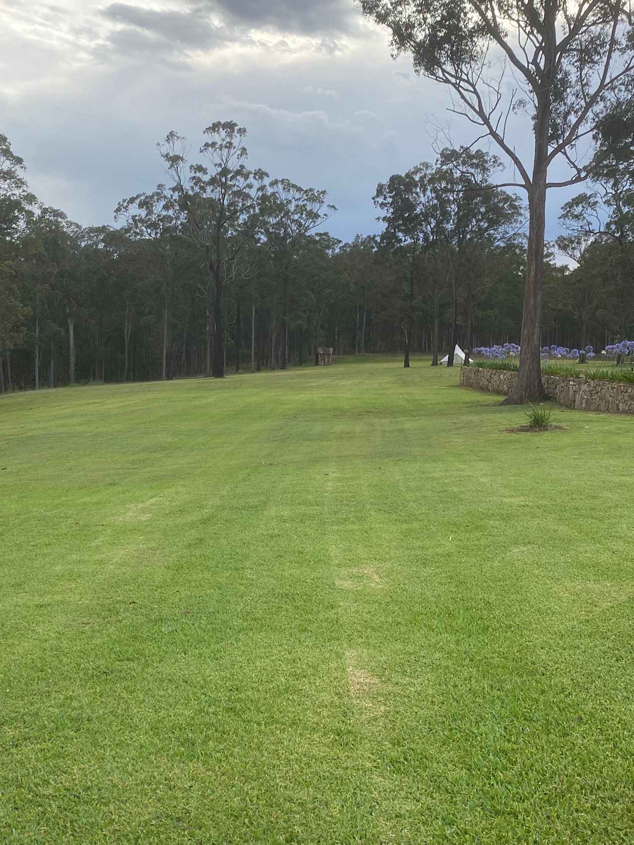 Wallaby Haven