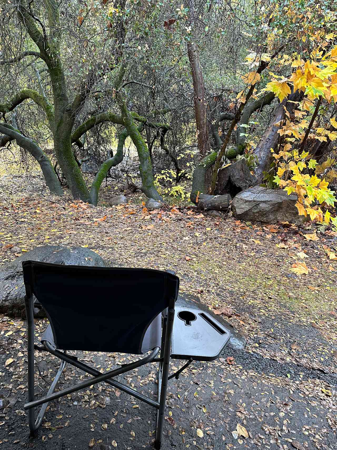 Sierra Foothills Ranch -722 acres
