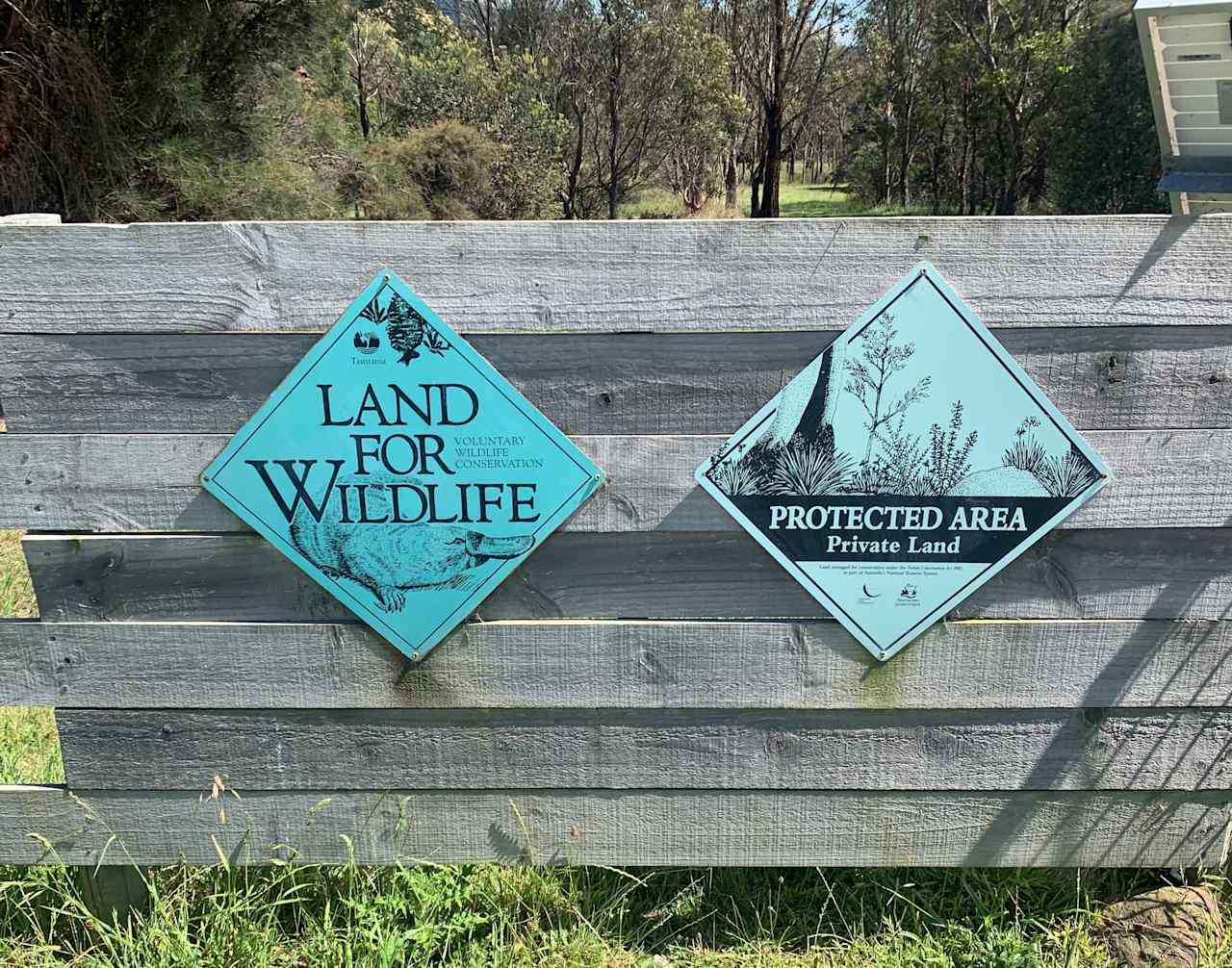 Stay Wild Coastal Camp