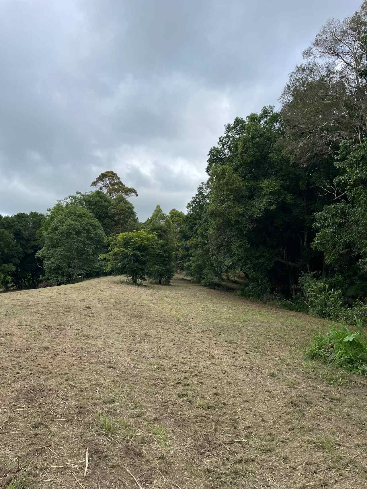 Samford Mini Farm & Creek Camping