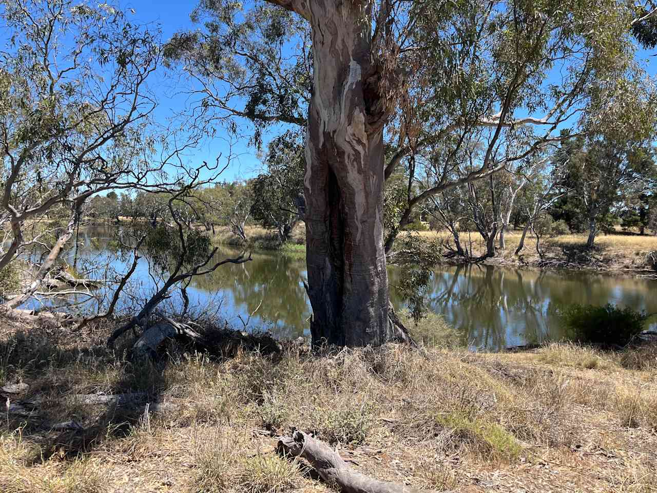 Wimmera River Heights