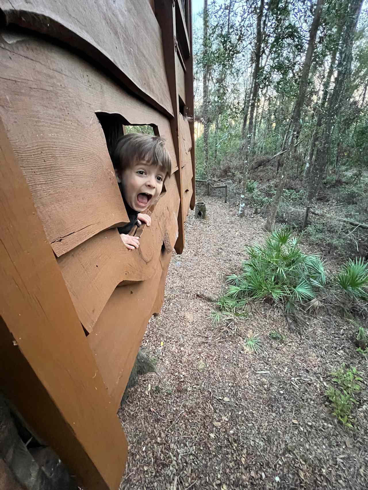 Treehouse Cabin Retreat - Florida