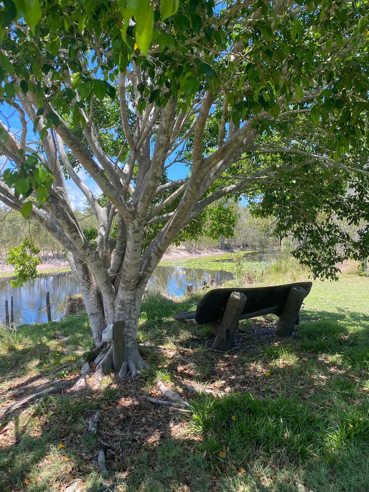 Baffle Creek Goat Park