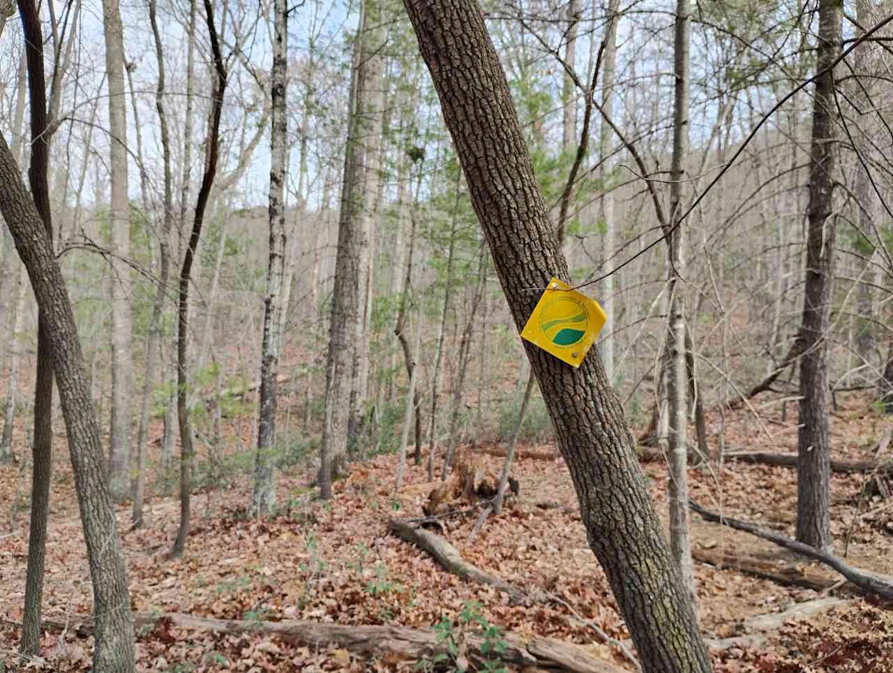 Creekside Nature Preserve Access