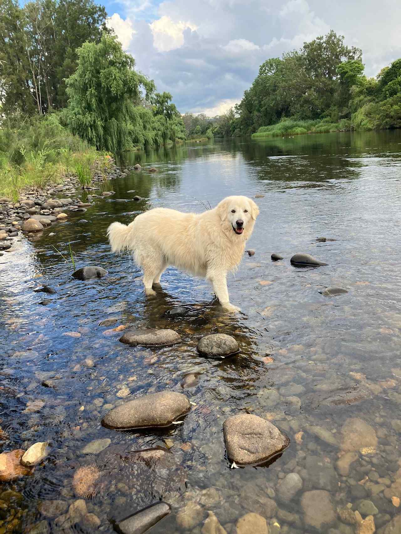 Camping on the Barrington River