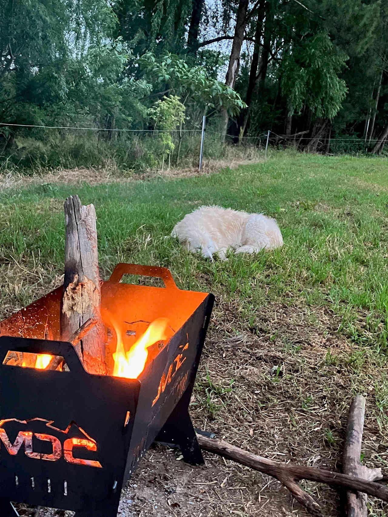 Camping on the Barrington River