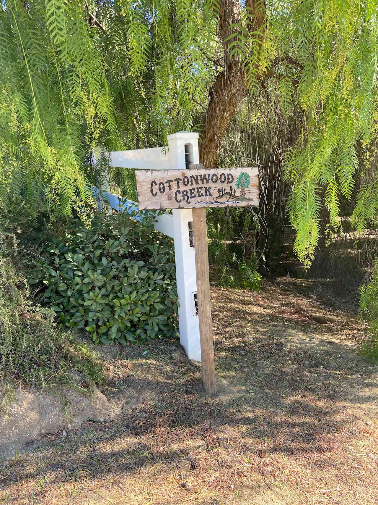 Cottonwood Creek Camp