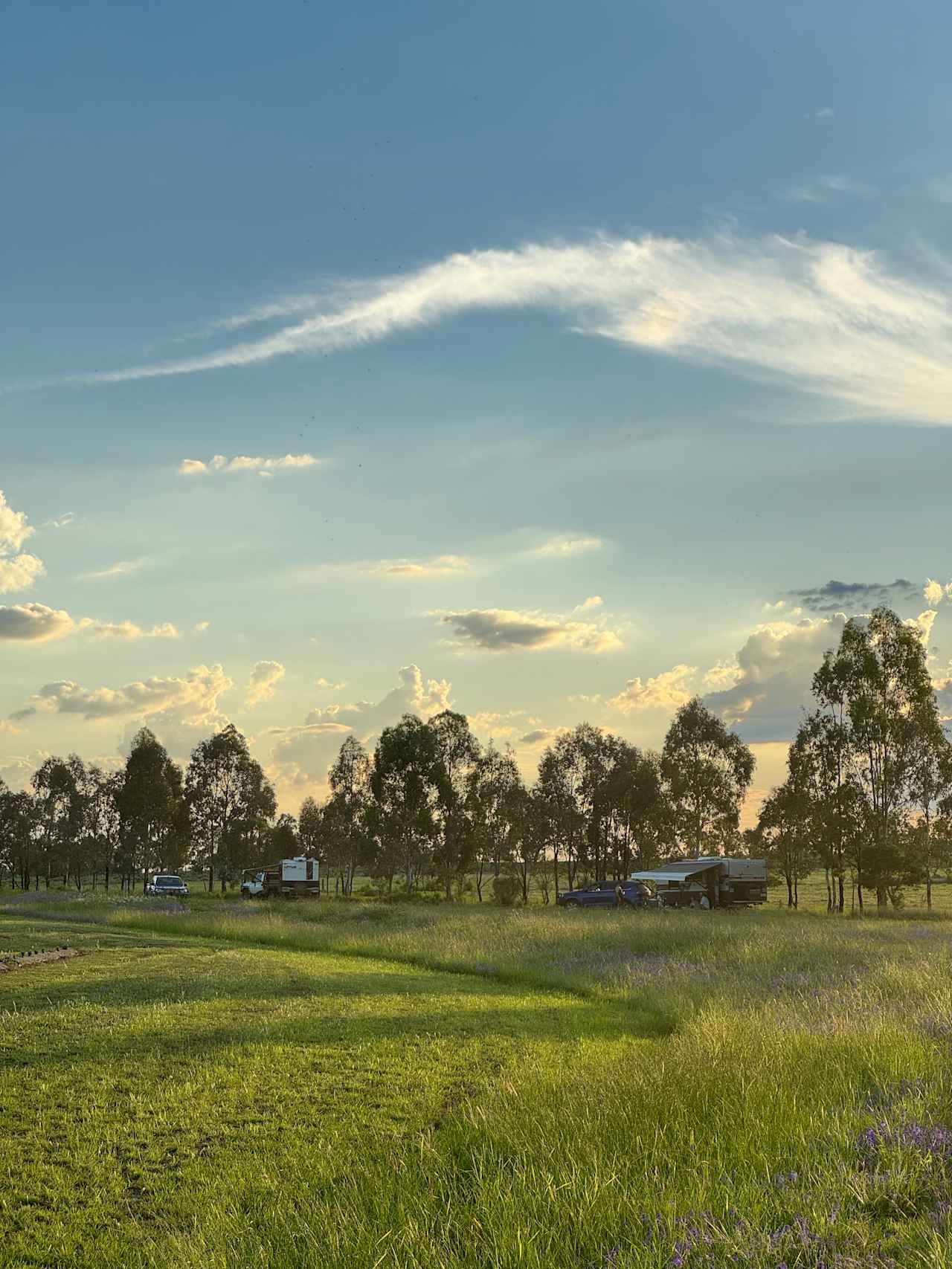 Back Paddock Botanical - Lavender