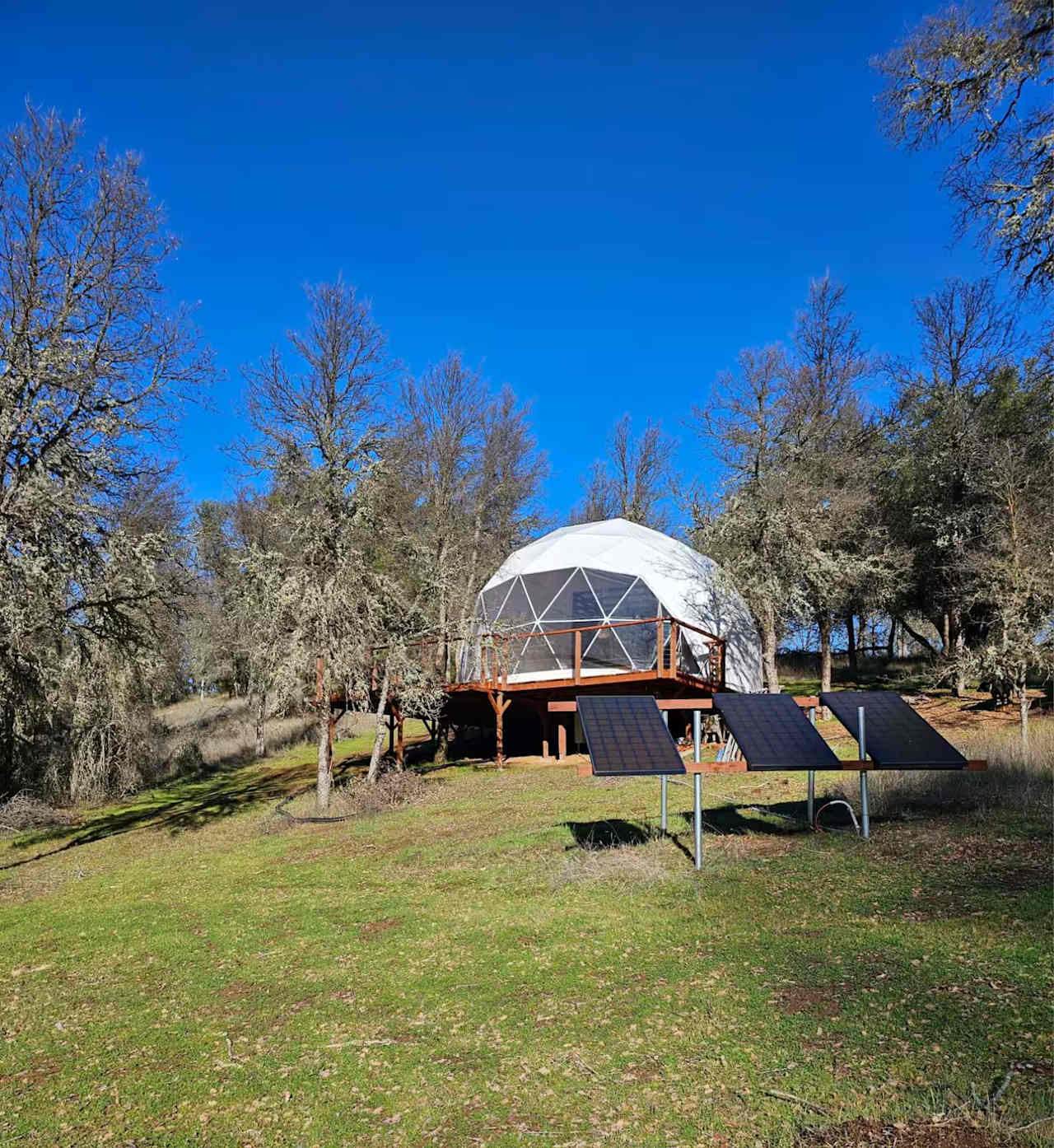 Treehouse Geodome In The Sierras