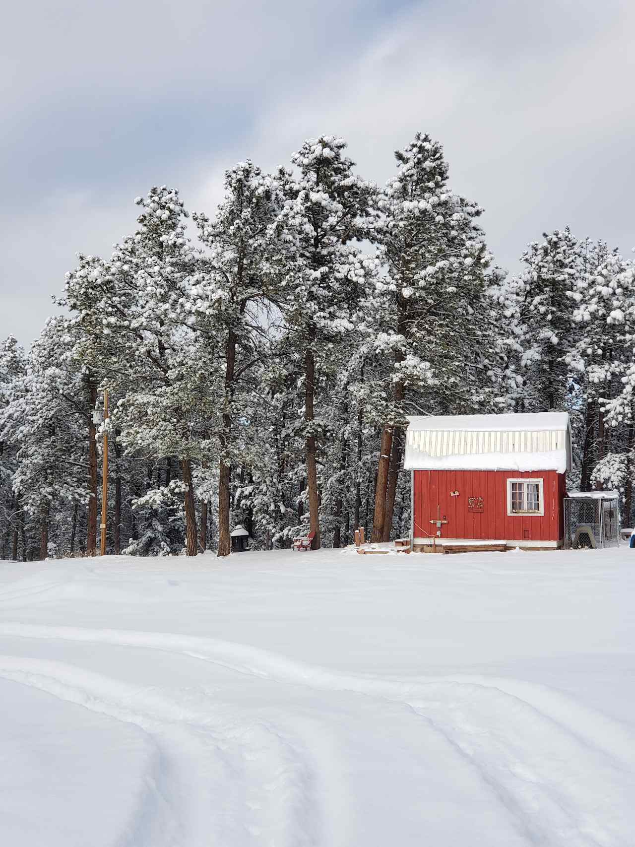 Peak Meadow Forest Ranch