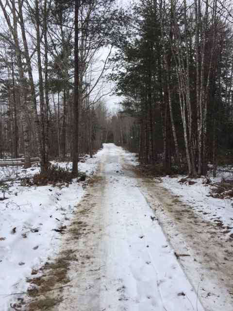 Access Road in winter.