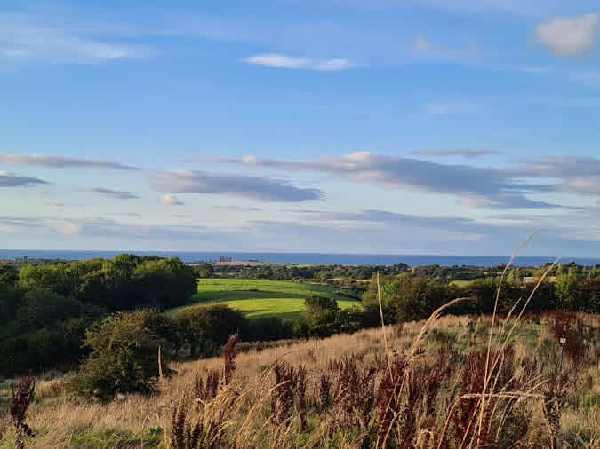 Coast and Camplight Whitby Glamping