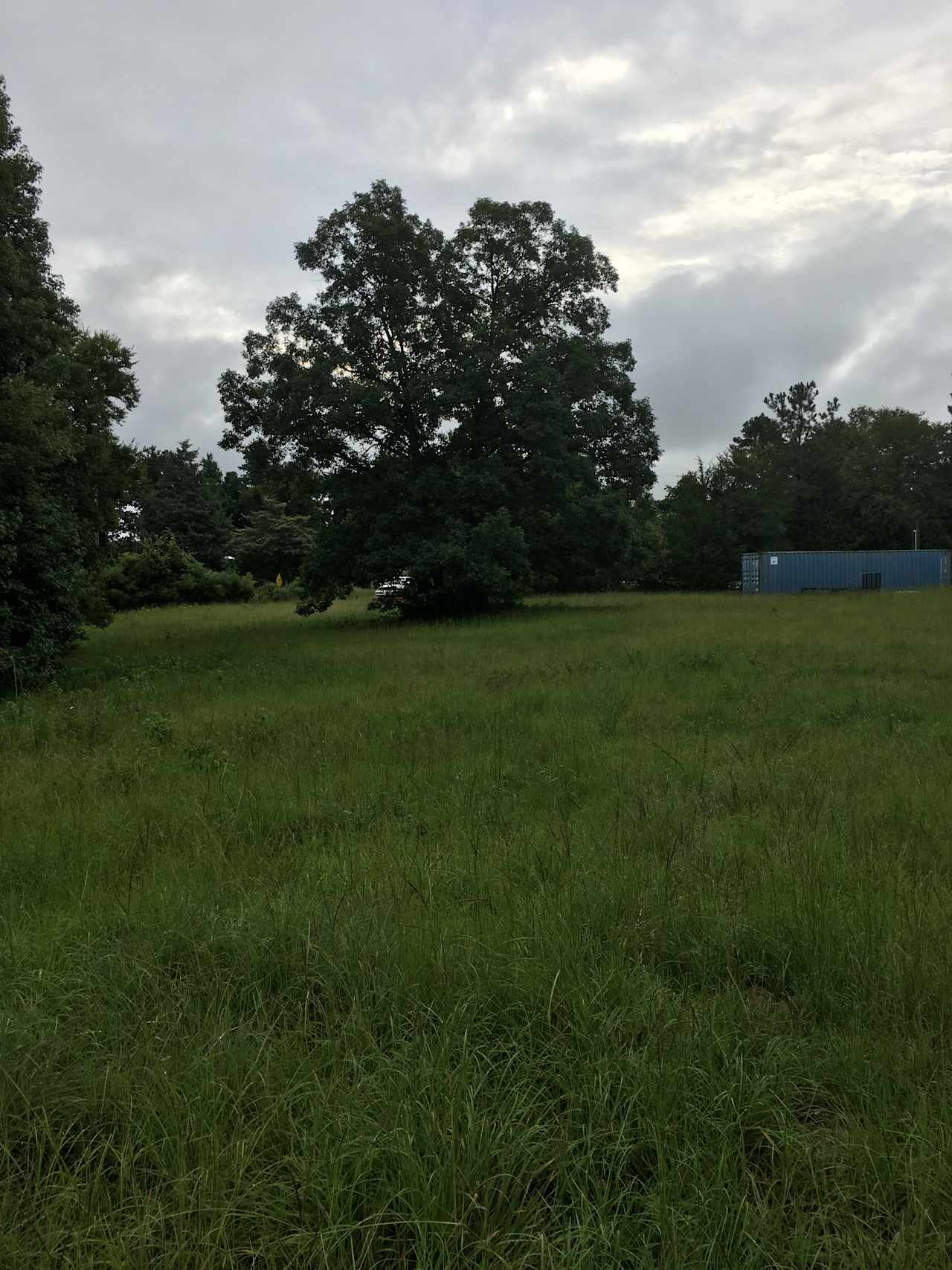 2 1/2 acre field for hipcamp
