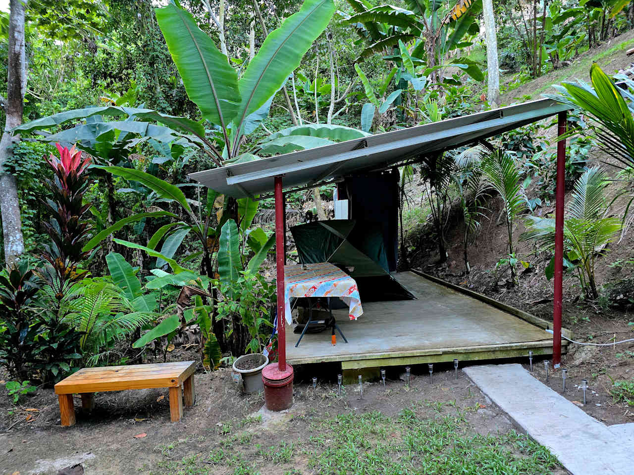 Huge banana trees, palms, ferns, and many beautiful flowers all over.  
Tent and table can be rearranged if needed.