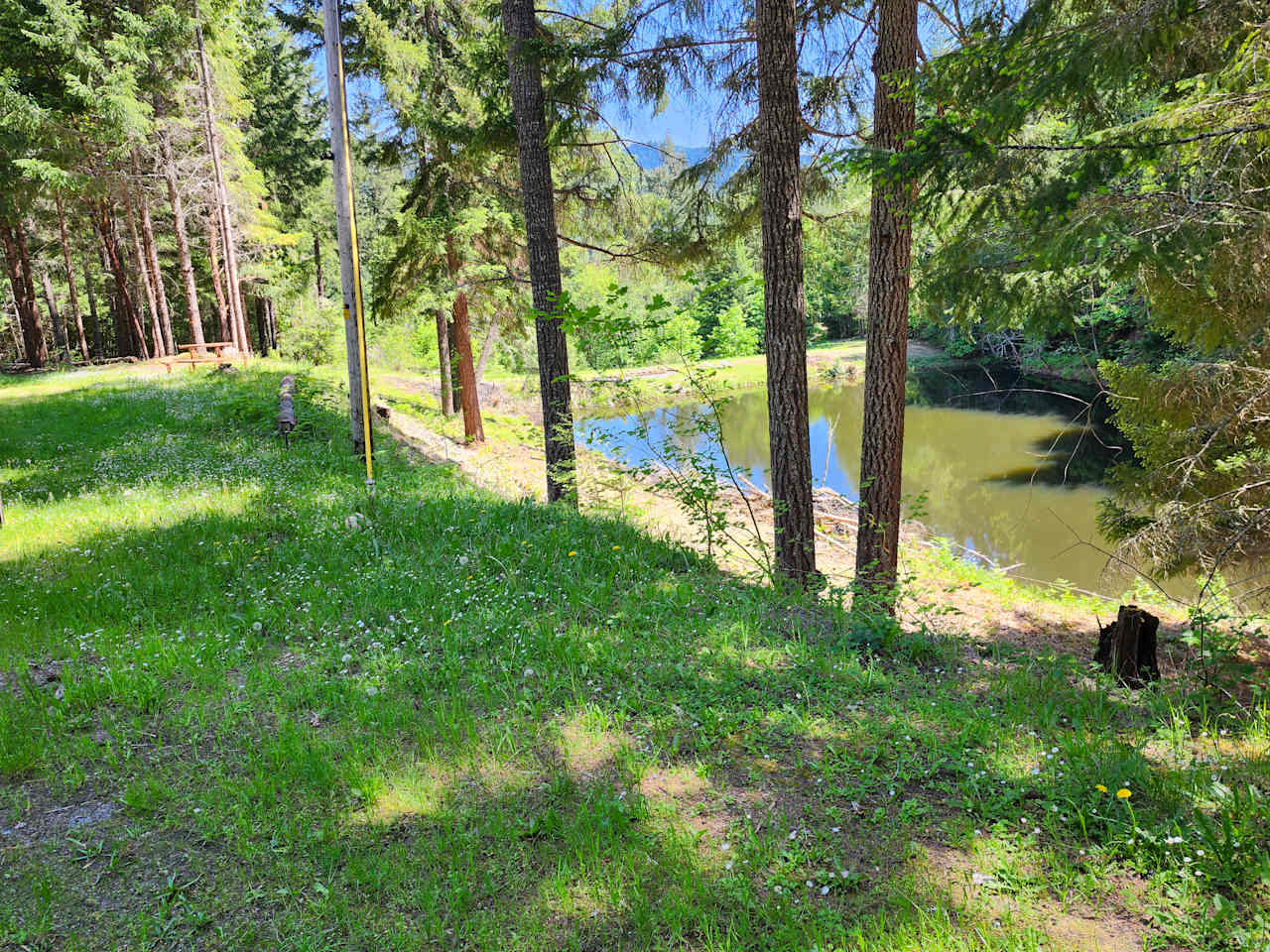 Creekside Waterfront In The Forest