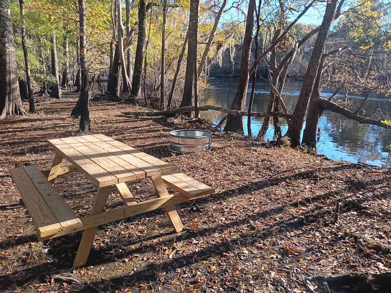 Campsite along the Edisto River 