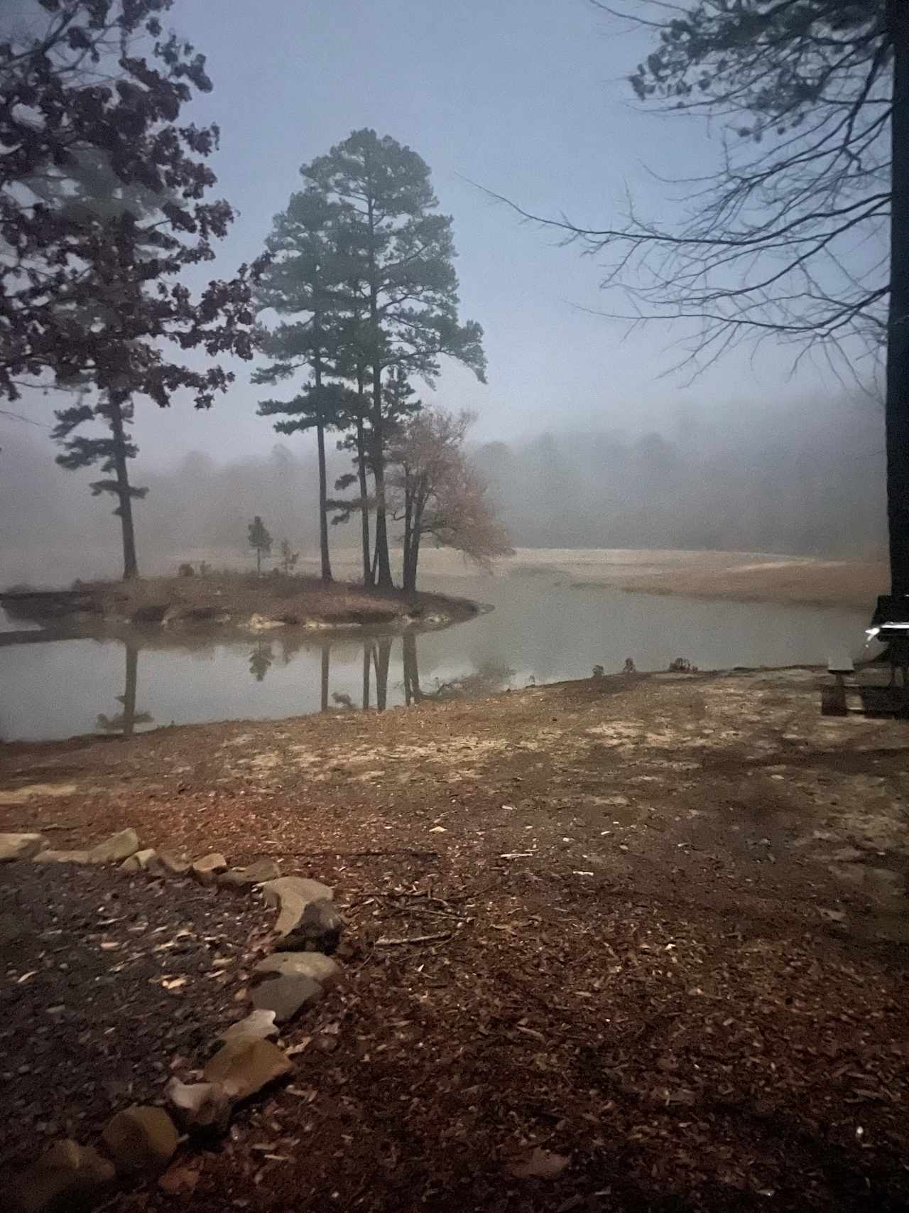 Foggy evening by the lake