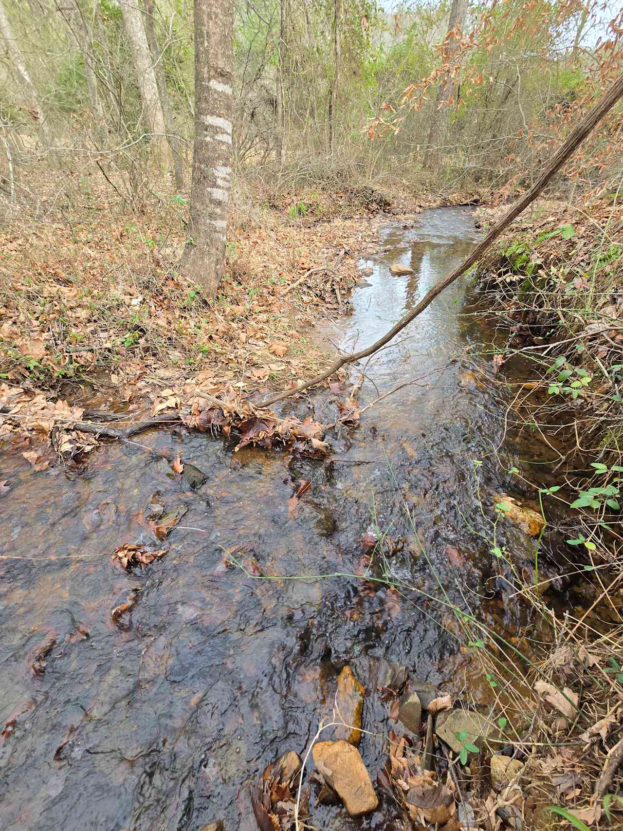 Waller Farm on Peter’s Creek