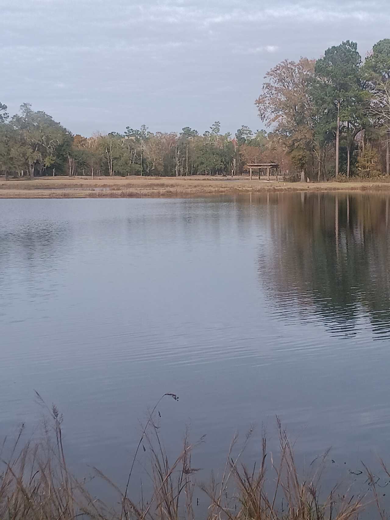 Edisto Camp And Canoe