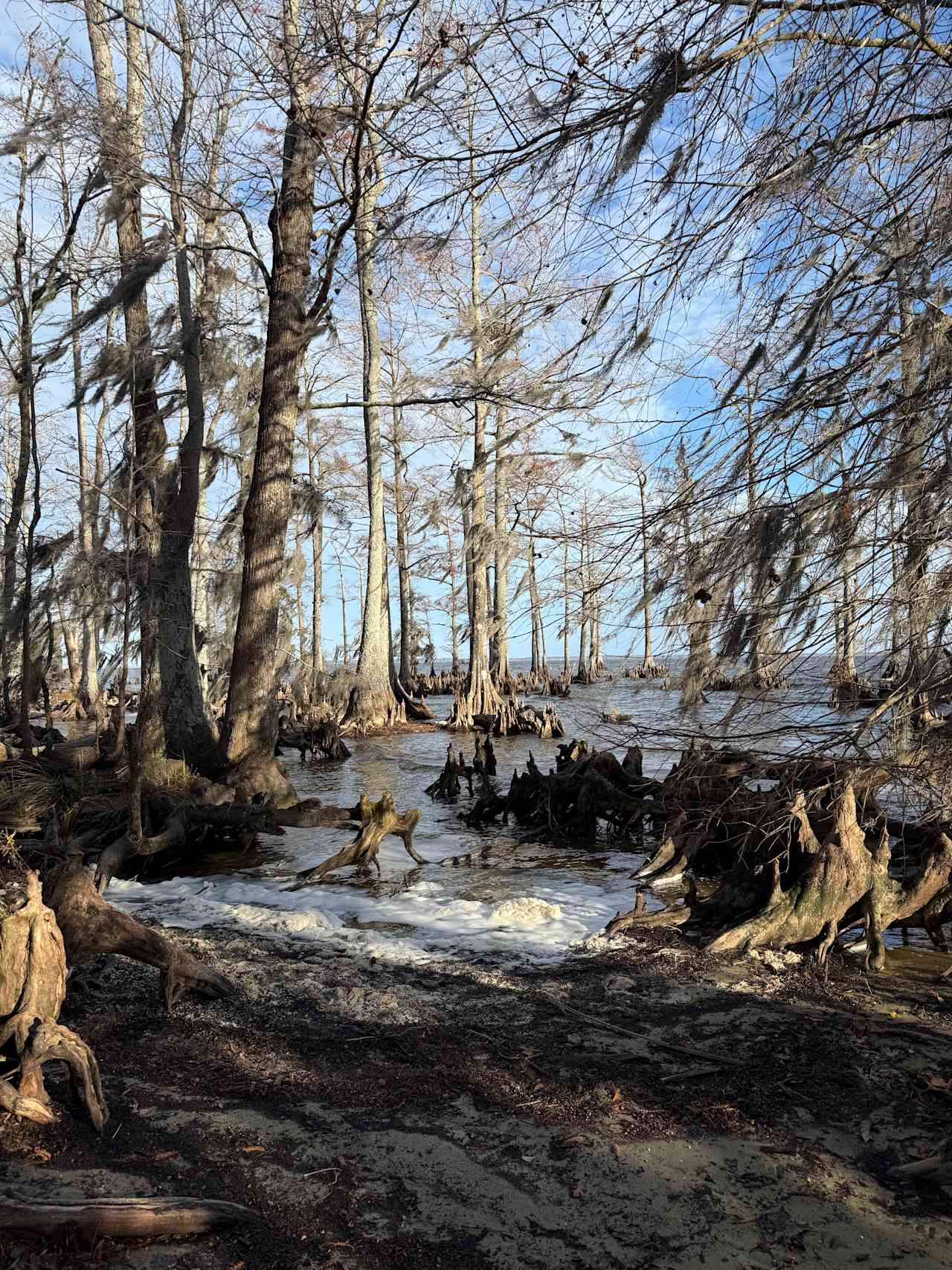 Spruill Conservation Farm