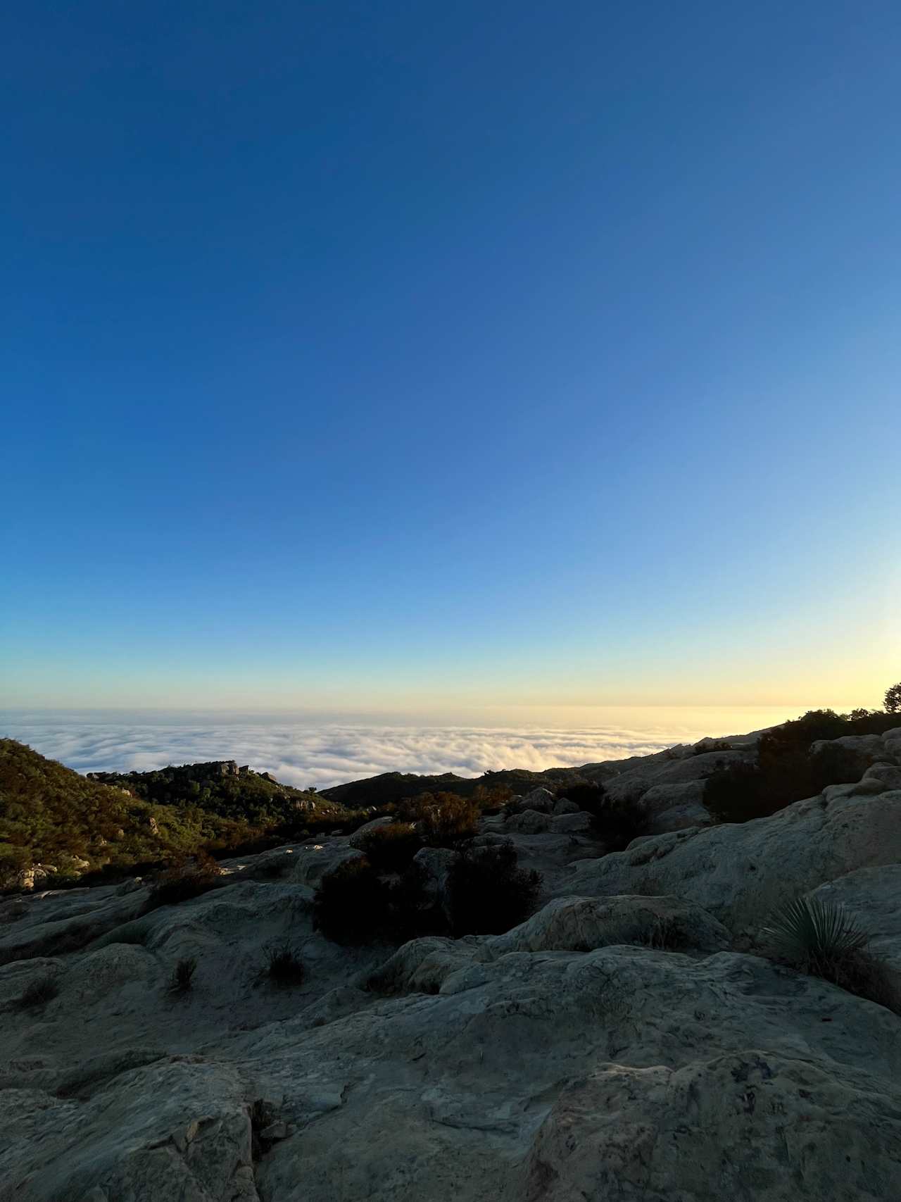 Manzanita View