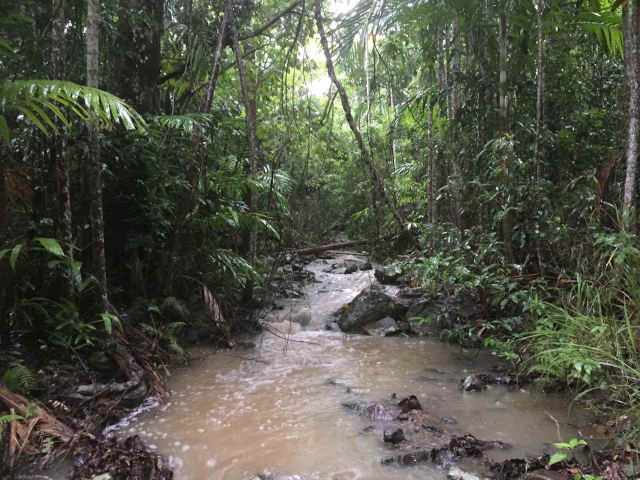 Whitsundays Rainforest Getaway