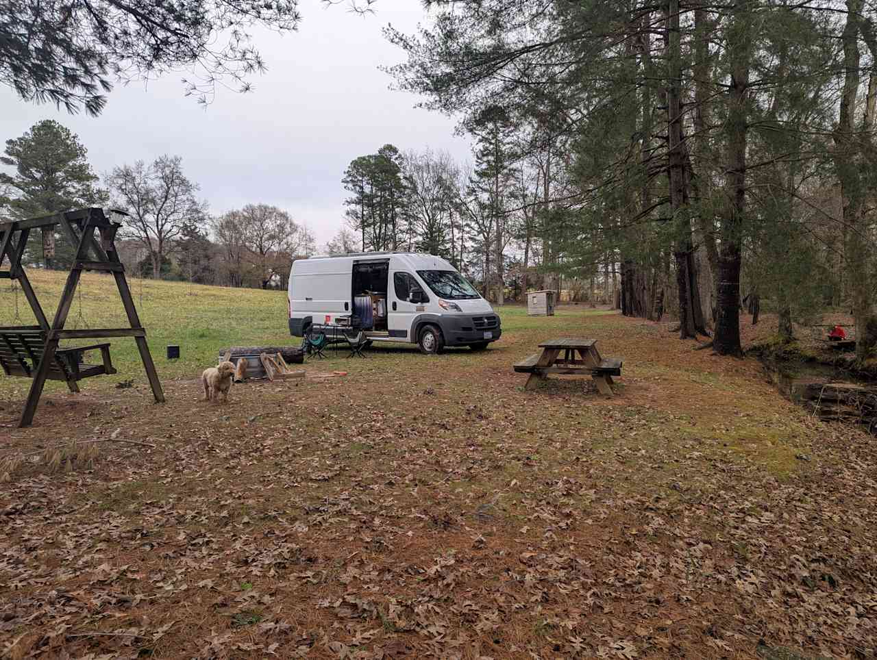 Neal Creek Camping Sites