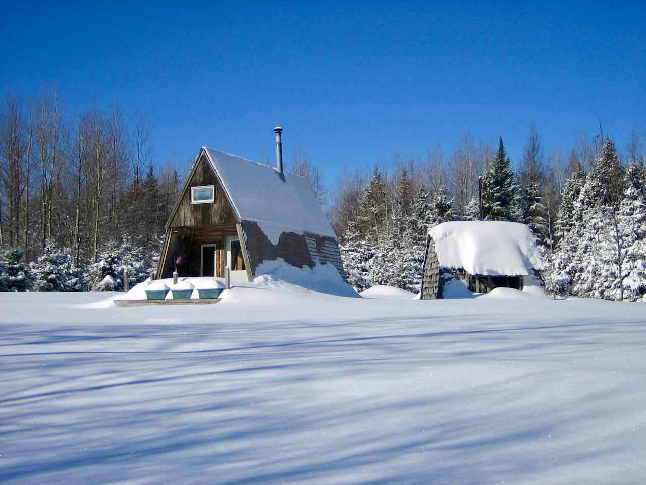 Bombadil Tree Farm