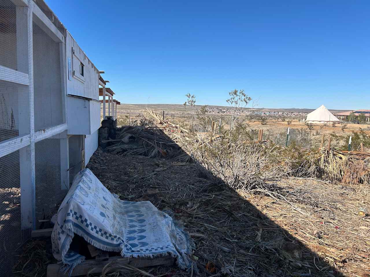 Wild Wash Regenerative Ranch