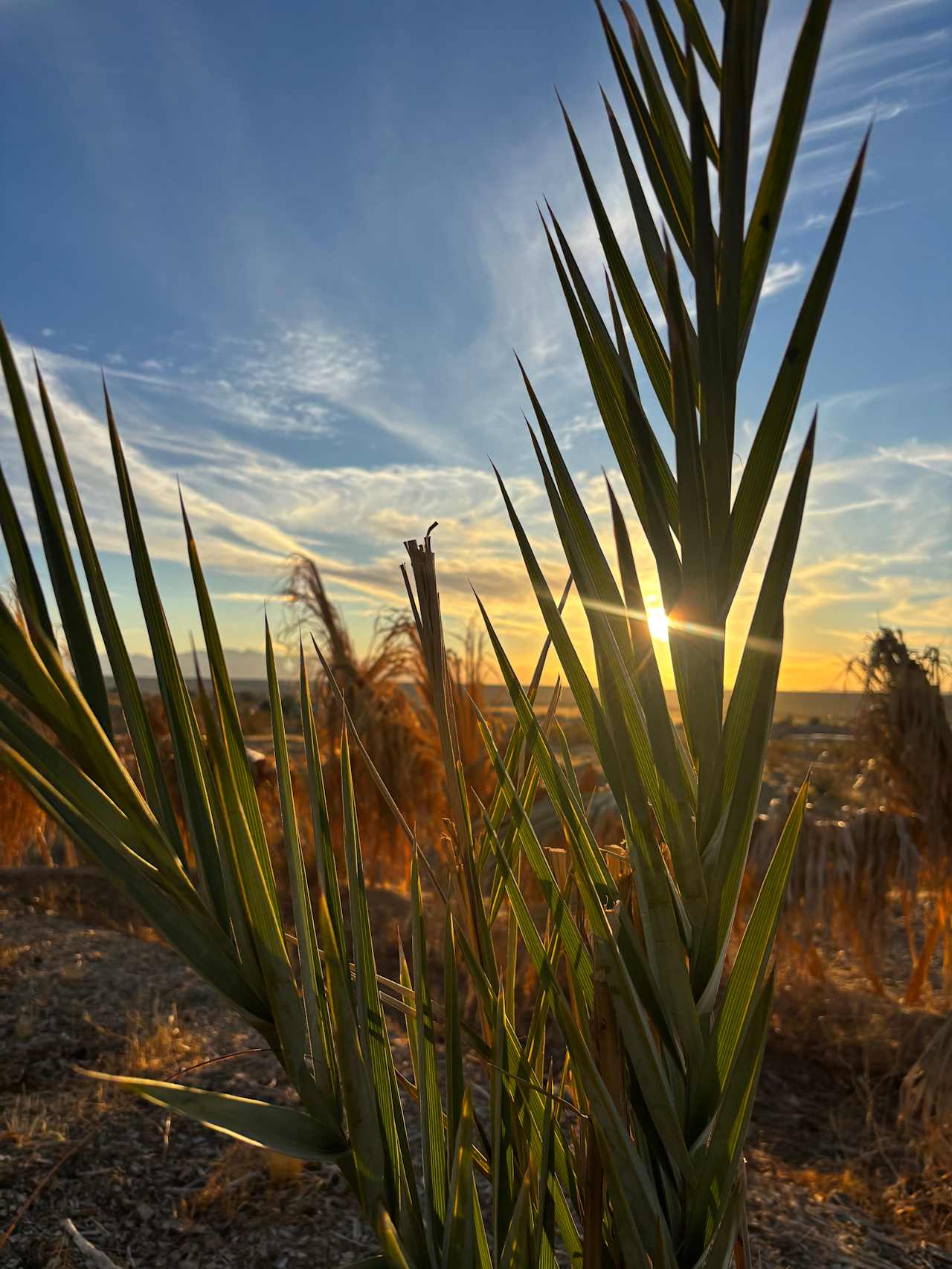 Wild Wash Regenerative Ranch