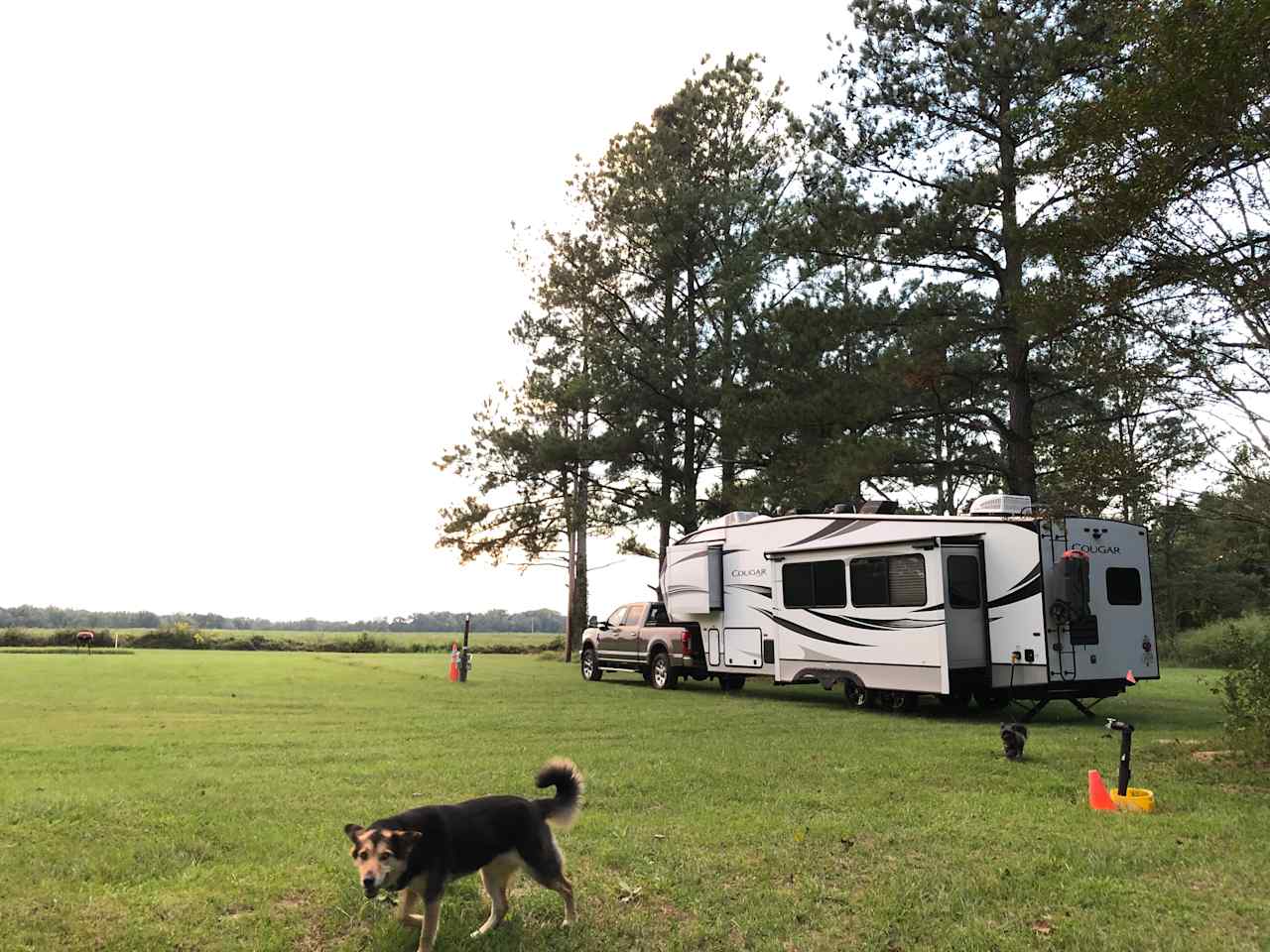 BLACK RIVER CAMPSITE MISSISSIPPI