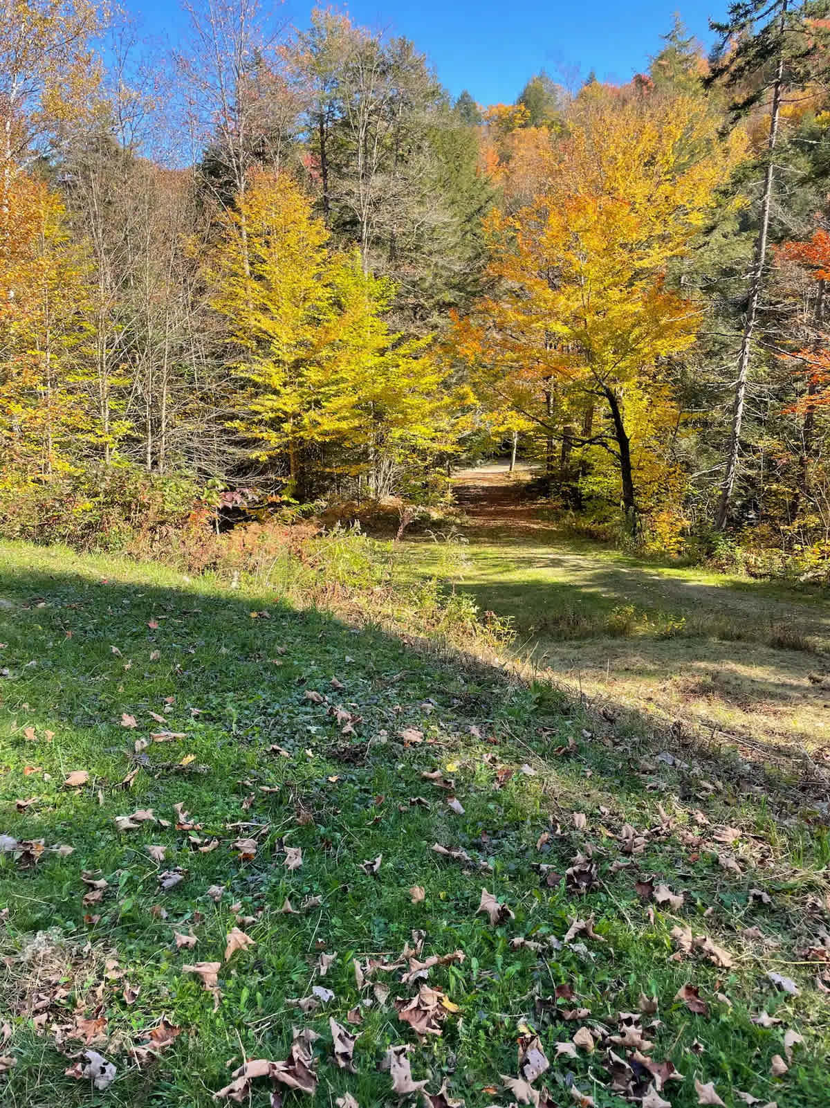 Chase Brook Cabin