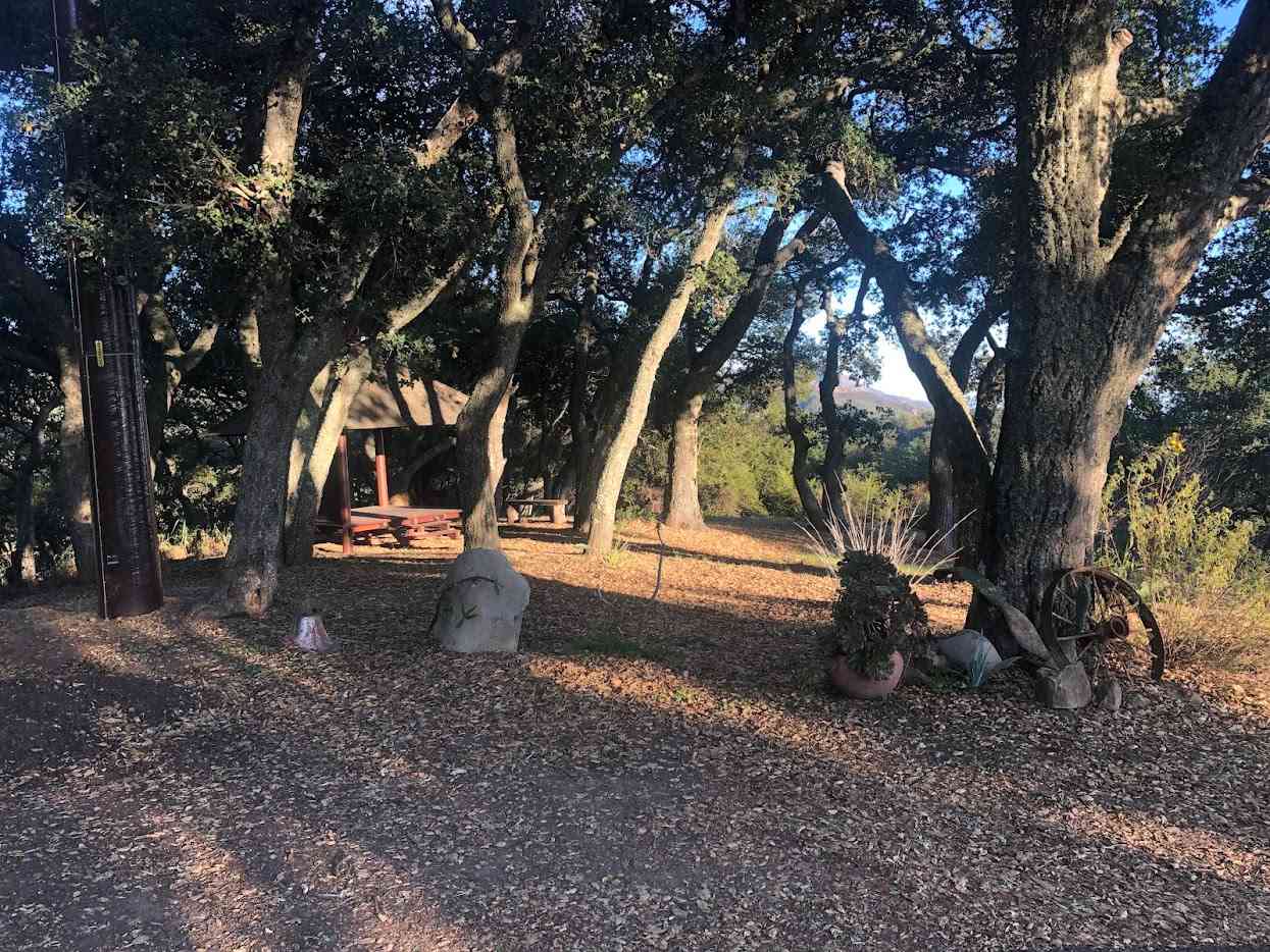 Manzanita View