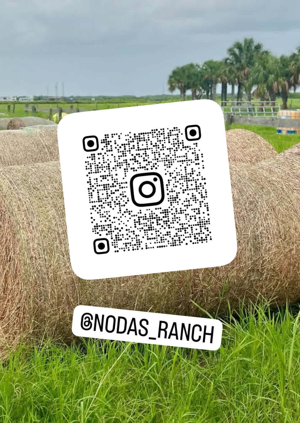 Follow us @nodas_ranch