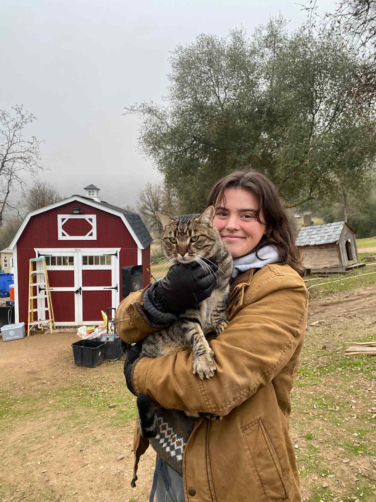 Camp ikigai Animal Sanctuary 501c3