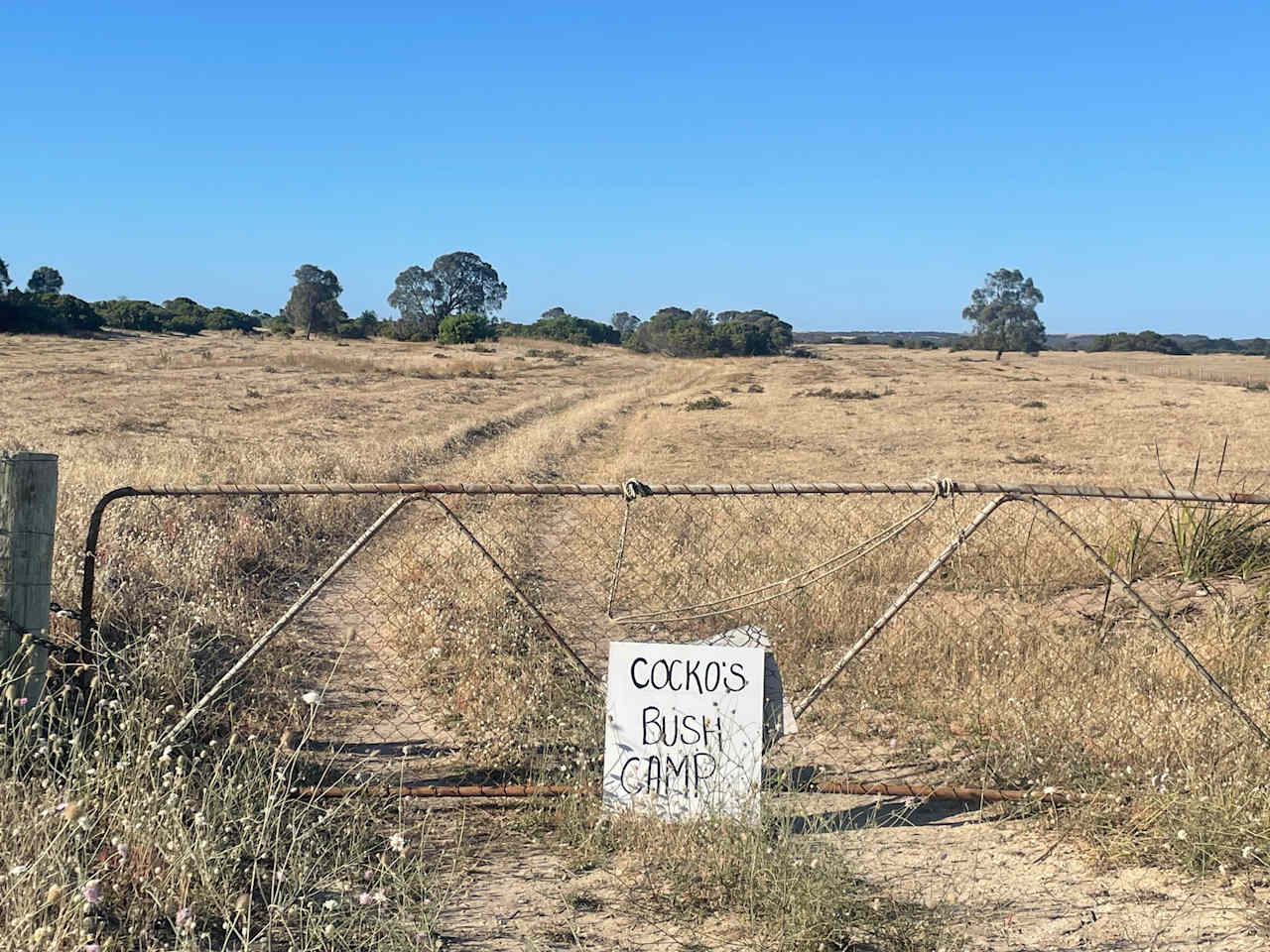 Cocko's Bush Camp