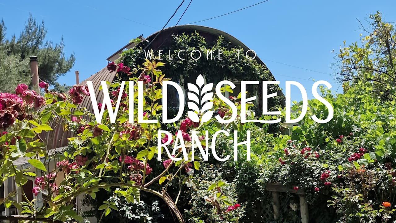 Wild Seeds Ranch