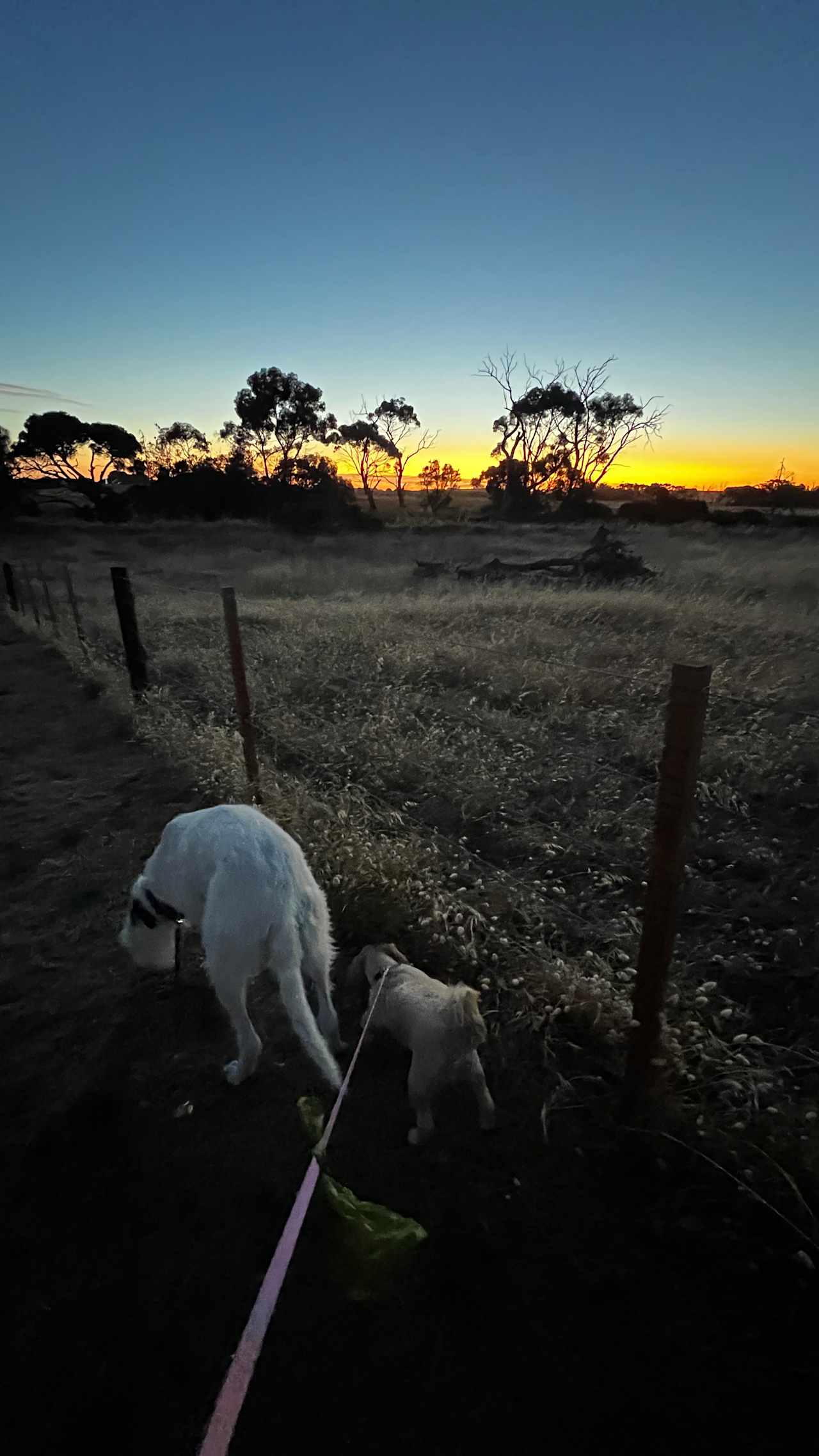 Robe Four Mile Farm