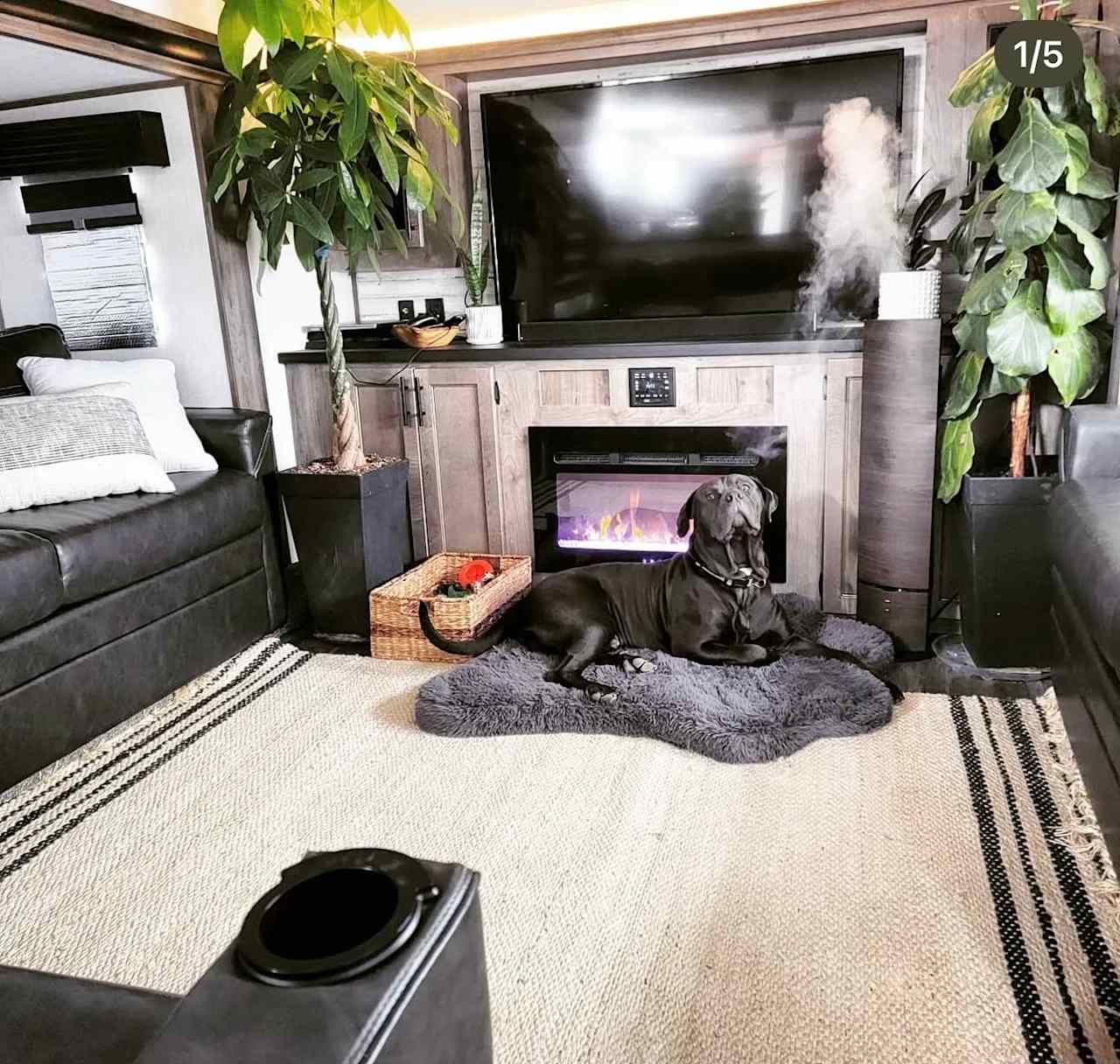 San Diego RV Wellness Retreat