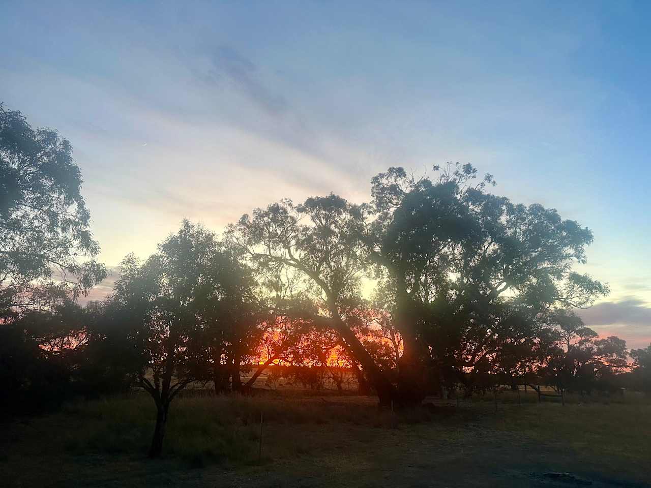 Amazing sunrises