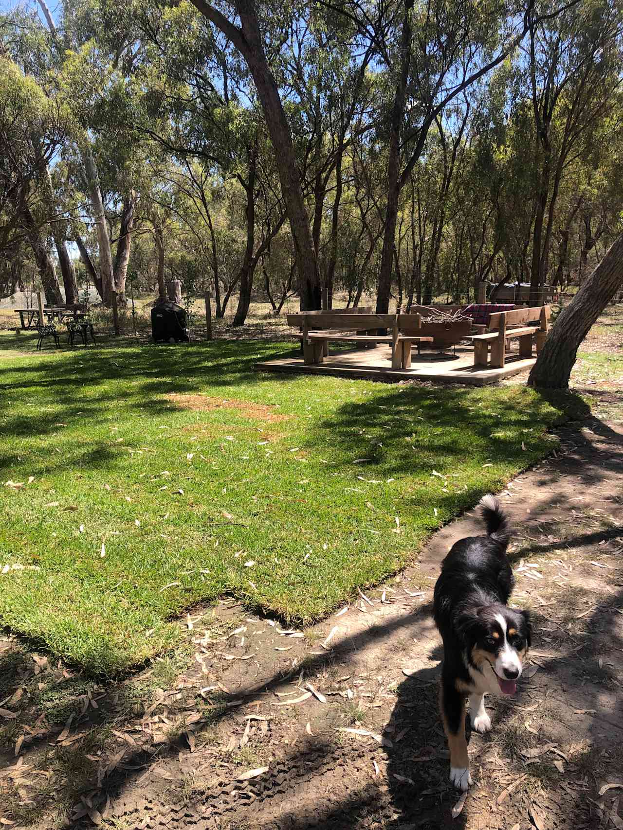 Radcliffe in Echuca