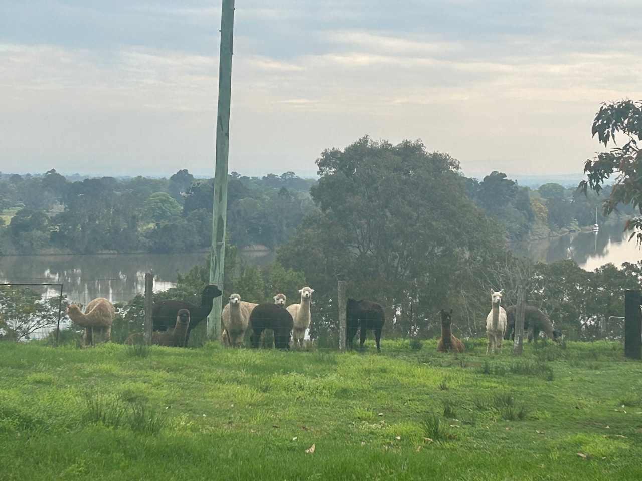 Schlaraffenland