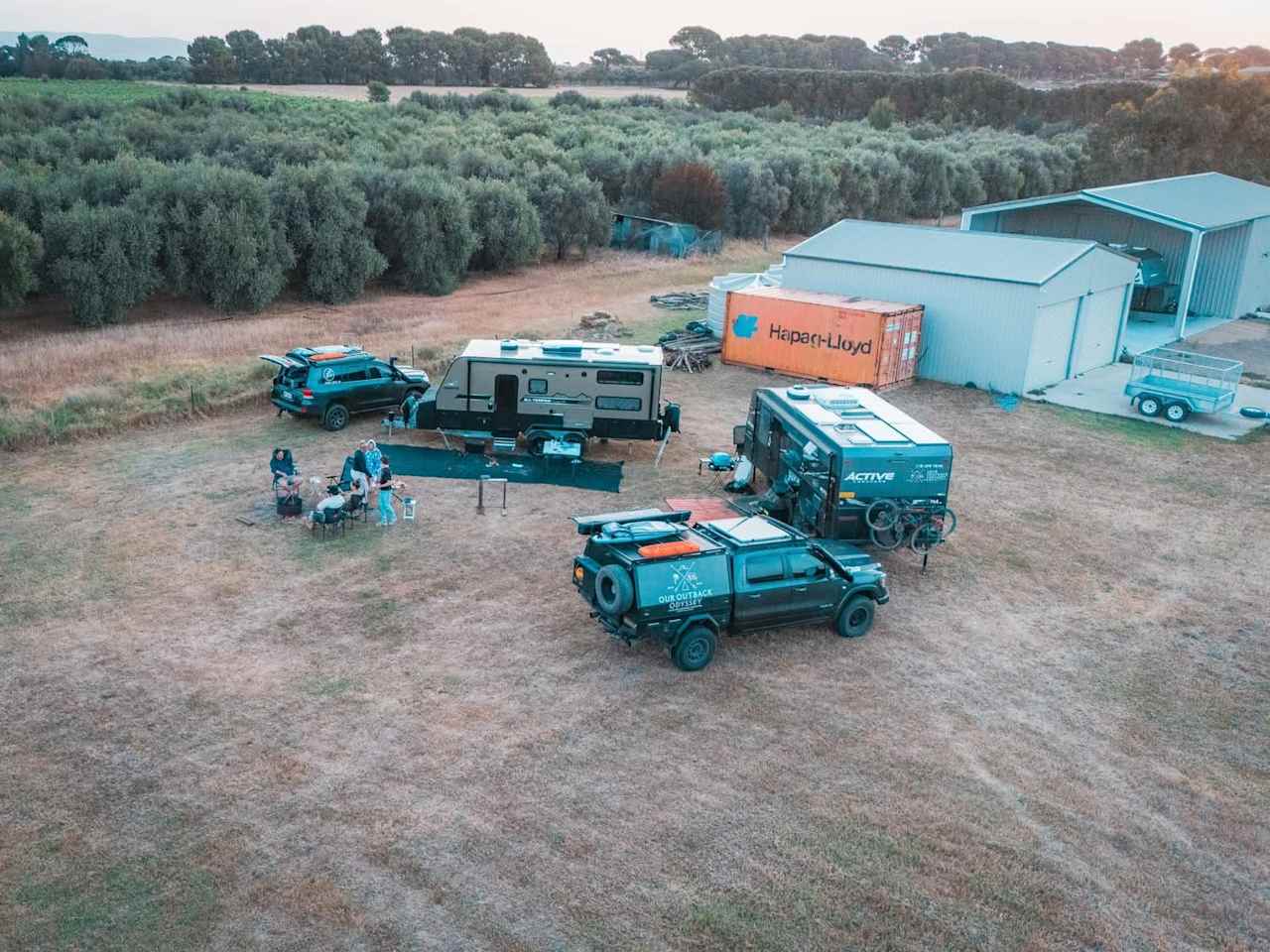 McLaren Vale Vineyard