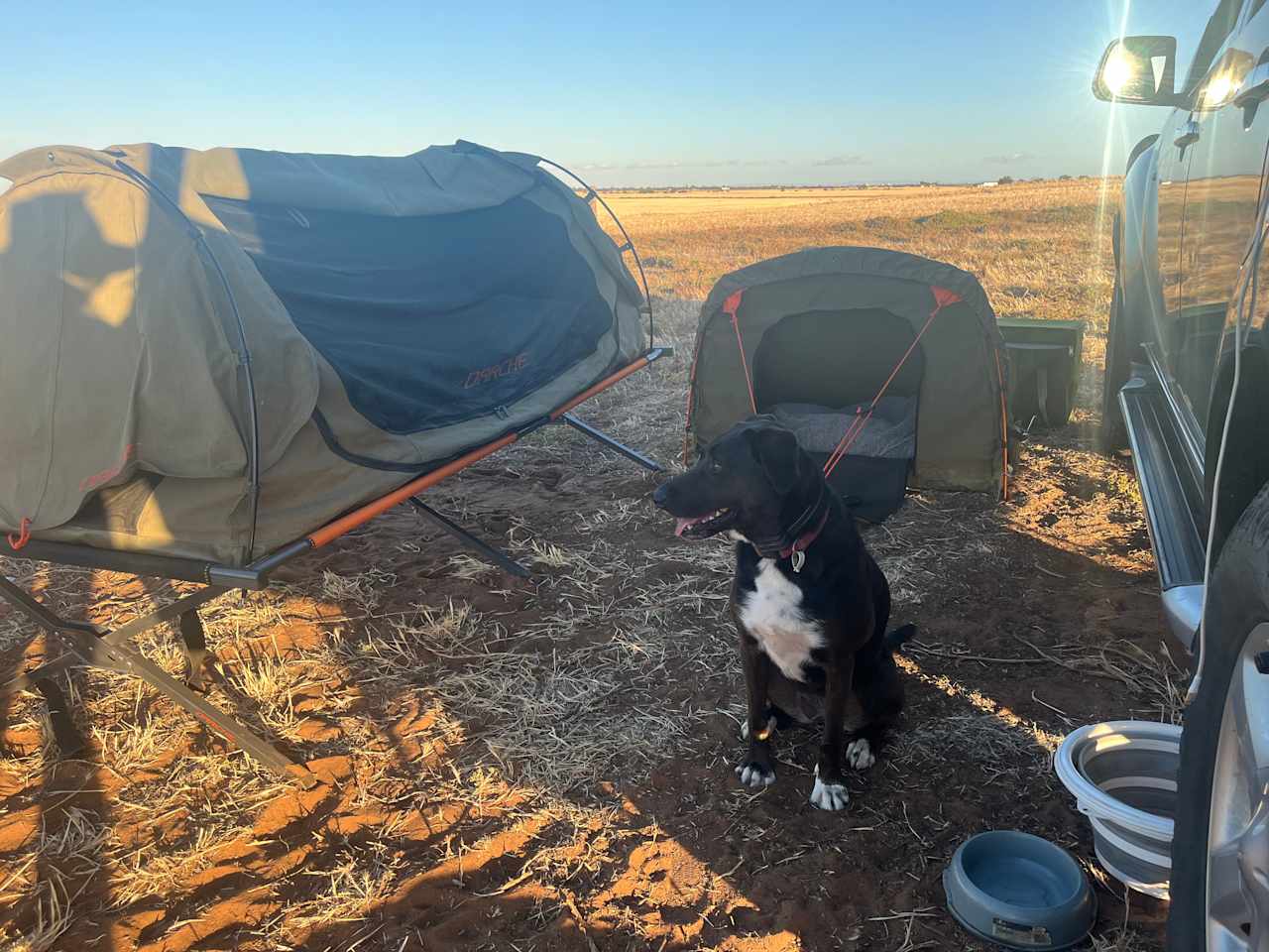 Camp with Horses close to the Beach