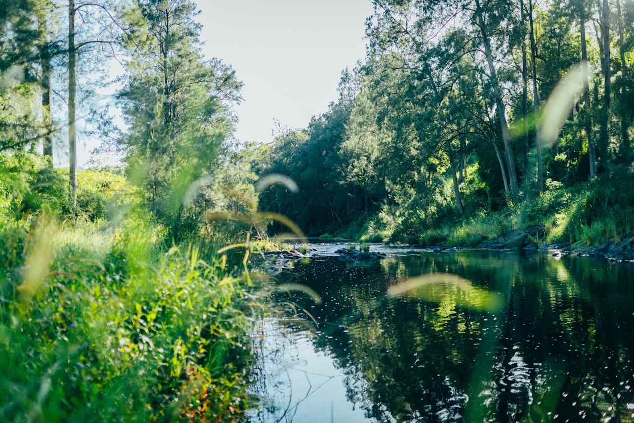 river at the campsite