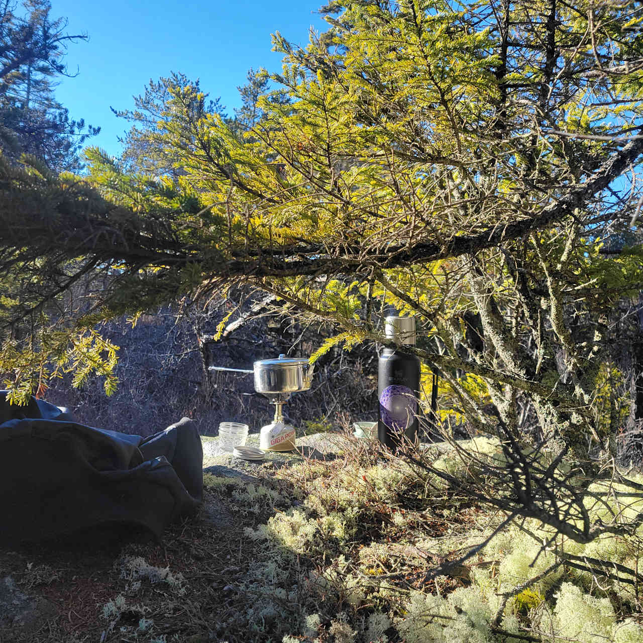 Balsam Hill Cabins