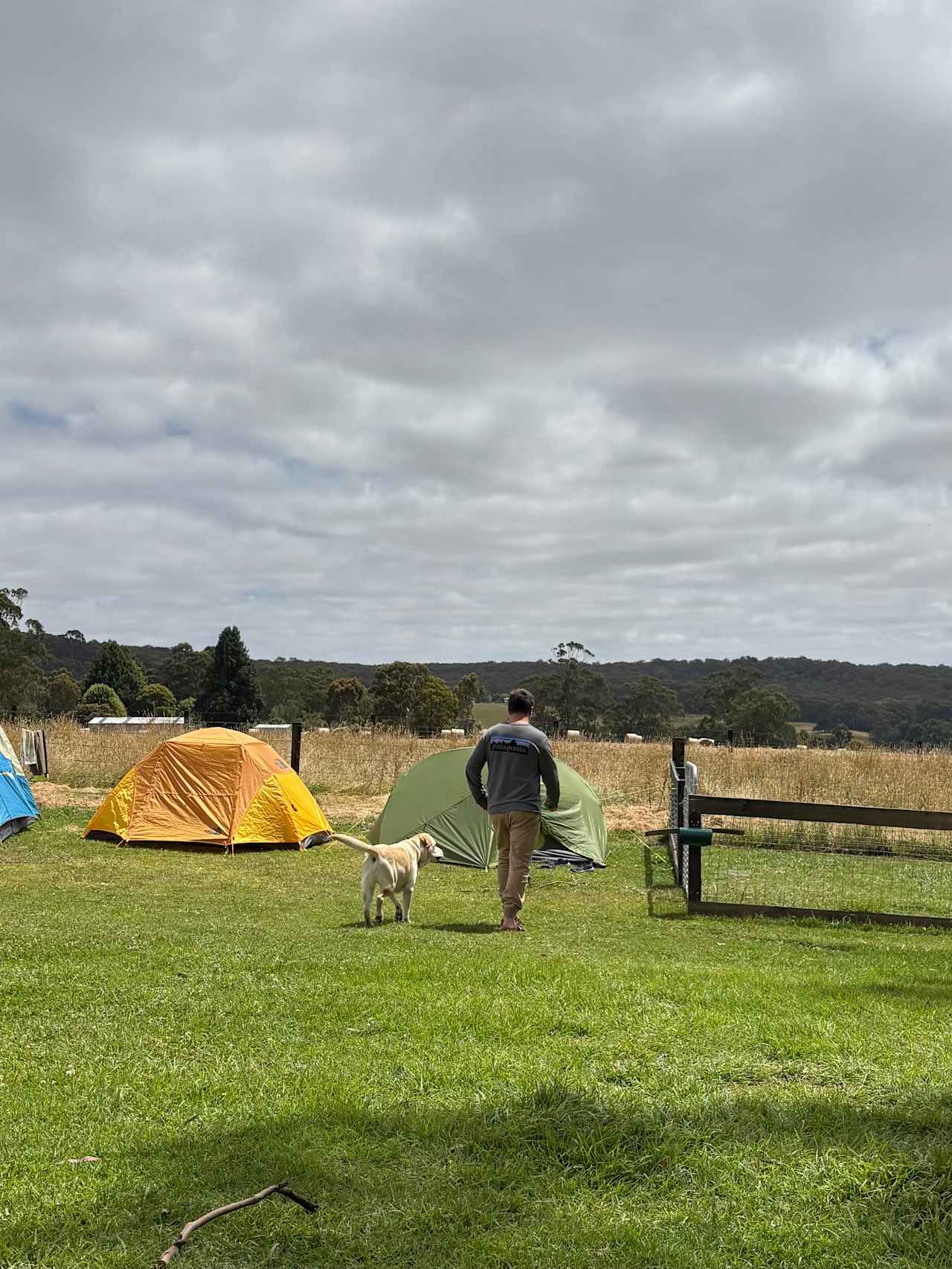 Forrest Holiday Park