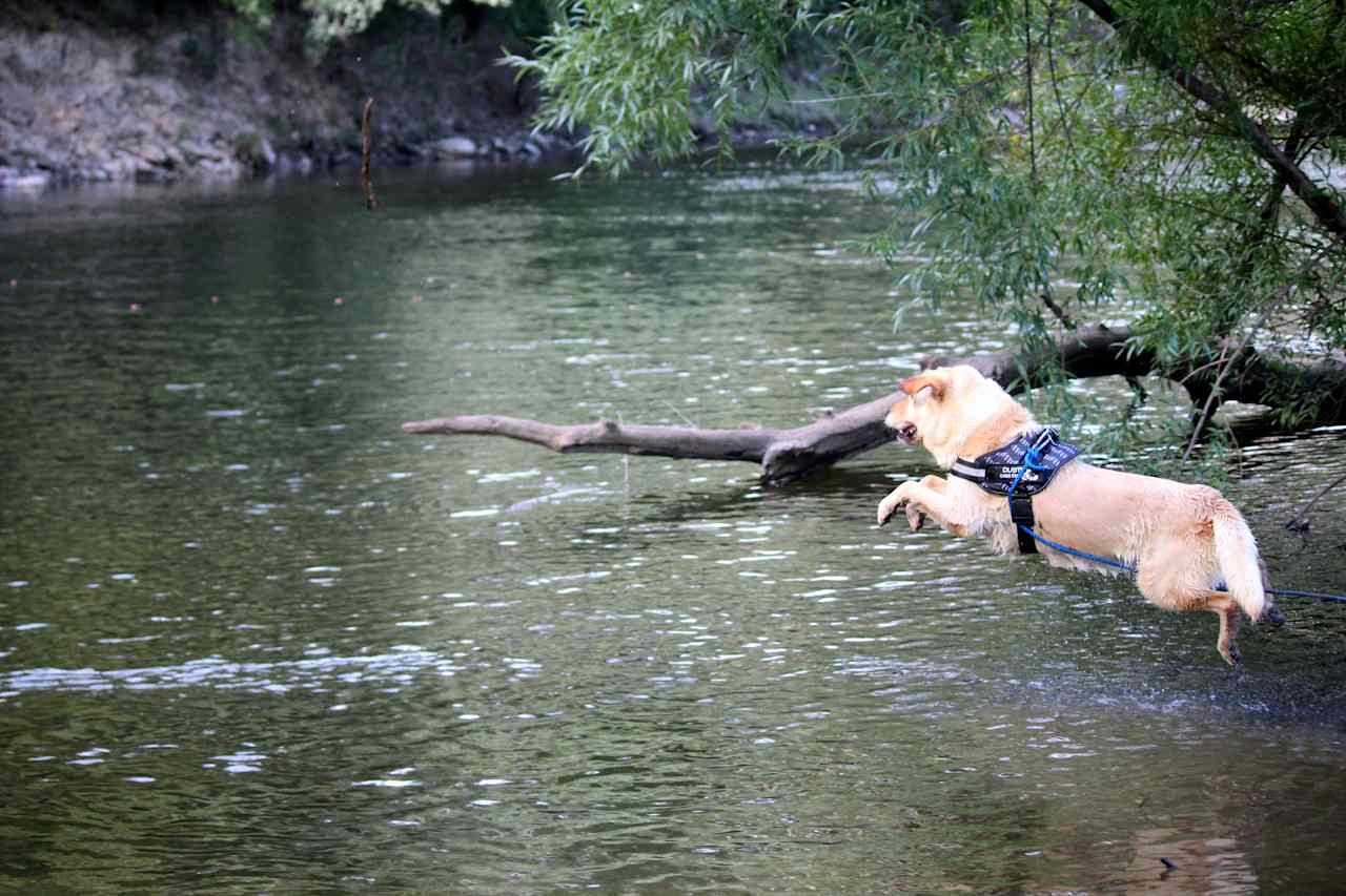 River Bend Havens - Camping